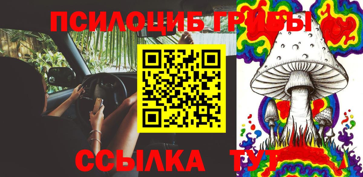 Галлюциногенные грибы MAGIC MUSHROOMS Мыски